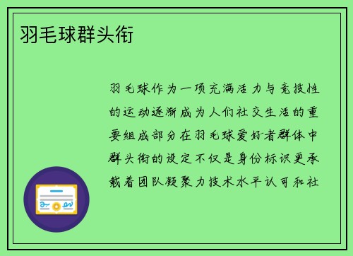 羽毛球群头衔